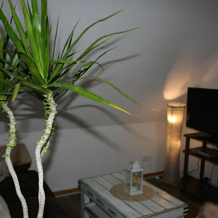 Ferien Oase Am Ber Appartement Schönefeld Buitenkant foto