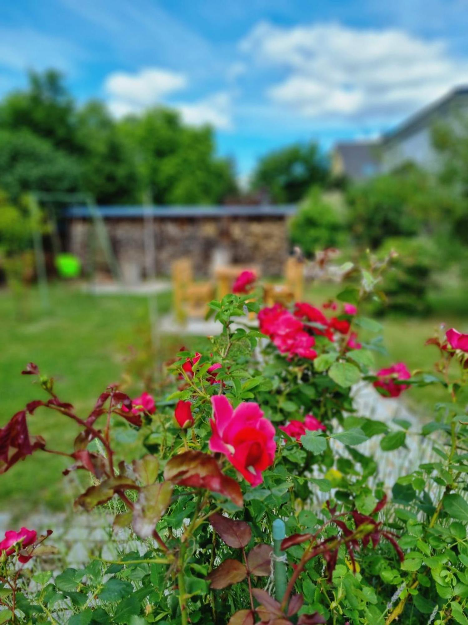 Ferien Oase Am Ber *